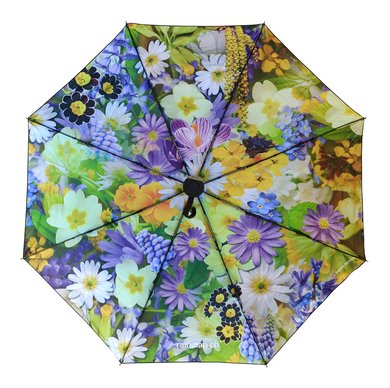 Blumenwiese Schirm